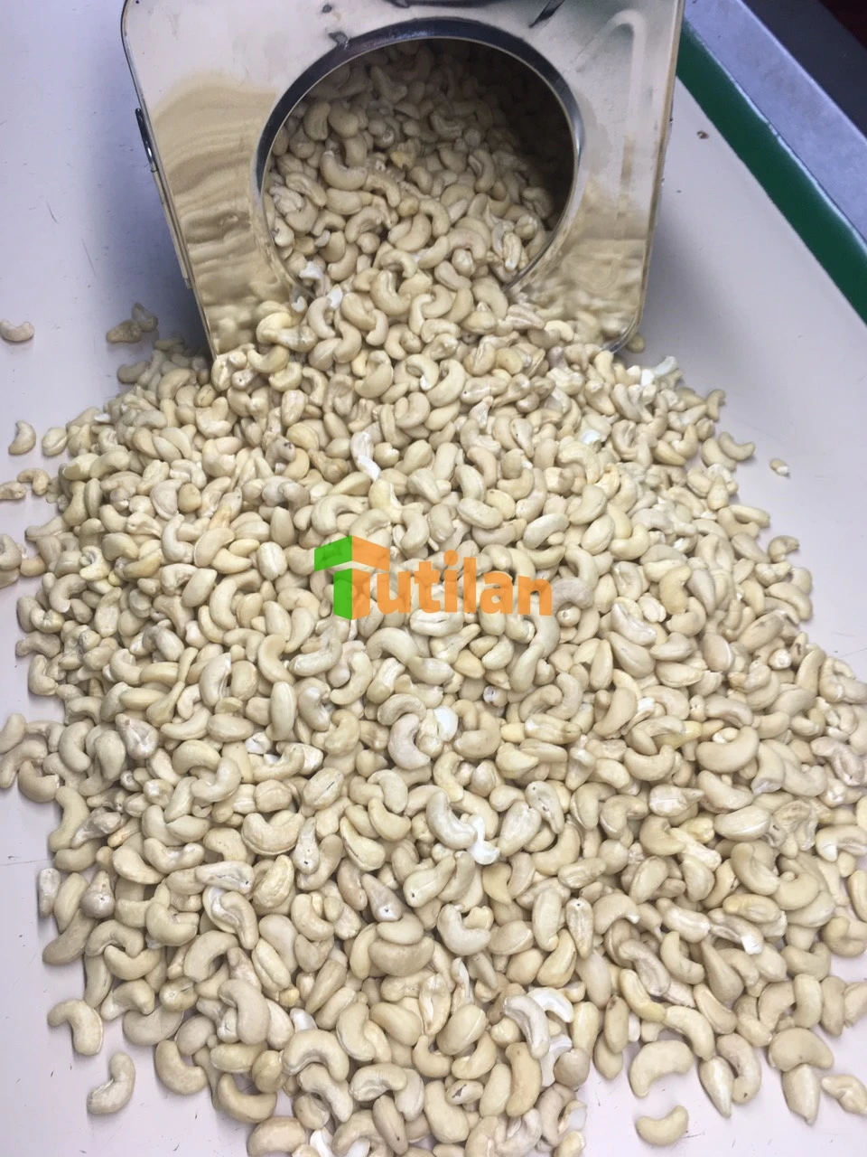 Оптовая продажа с завода HACCP BRC по лучшей цене высококачественные орехи кешью Вьетнам