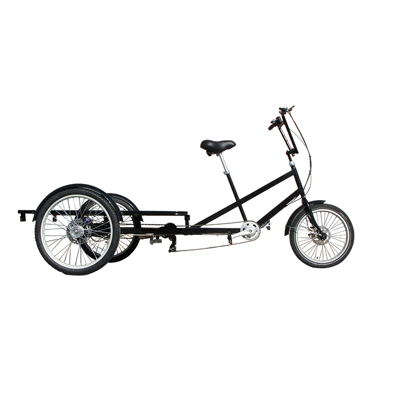 Scooter Flatbed Tricycle Electric Trike for Transportation 3 Wheel Cargo Ebike
