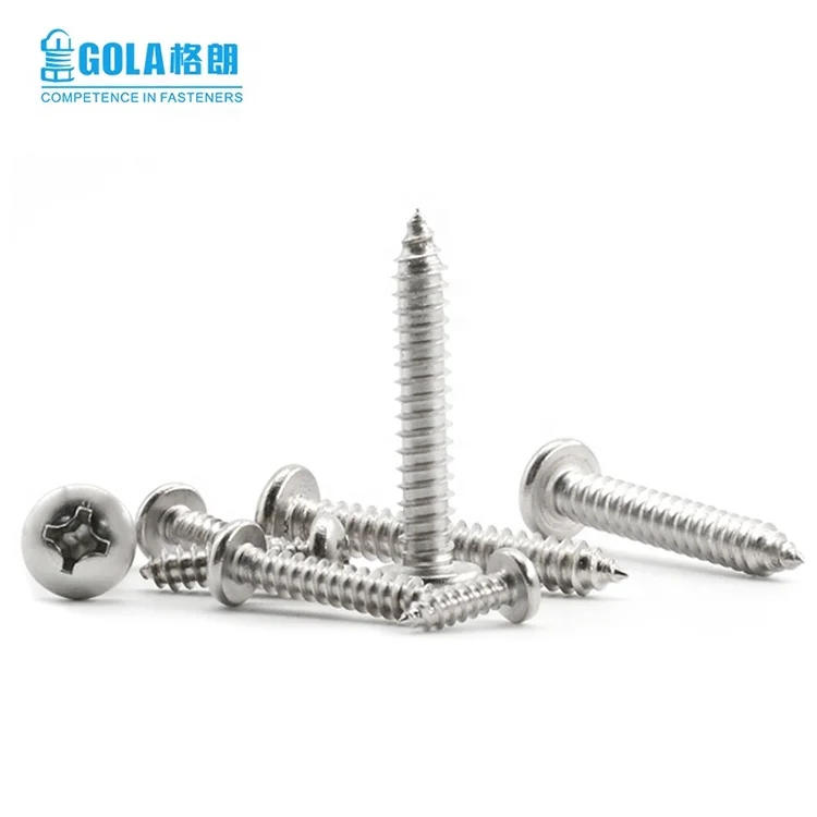 Metal Building Material Din7981Stainless Steel Pan Head Phillips Self Tapping Screw