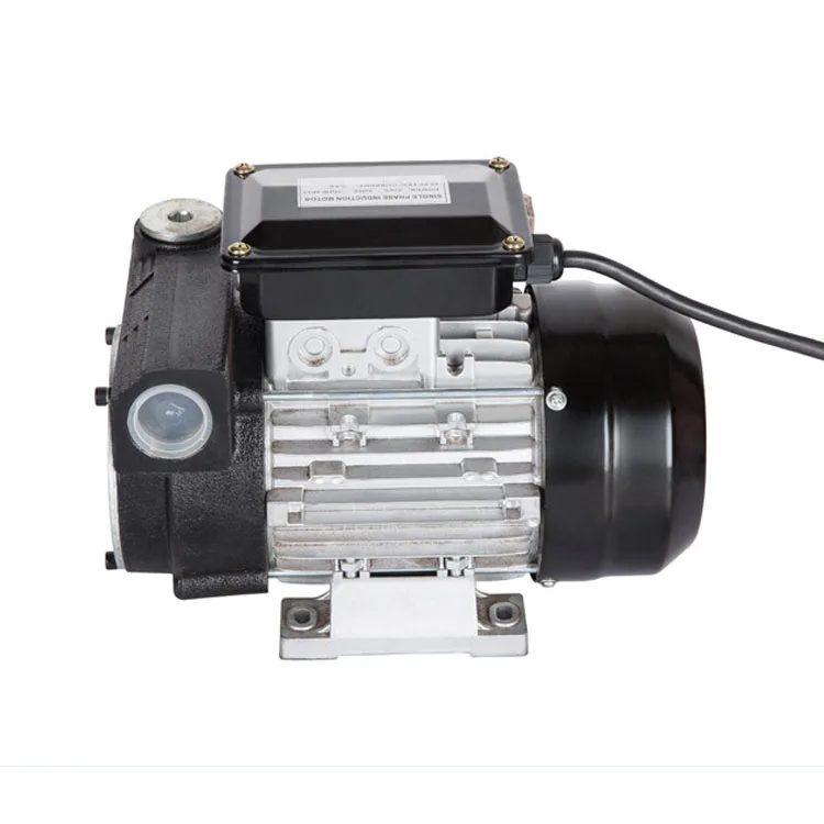 Heavy Duty Portable 80LPM AC110V/220V Large Flow Self Priming Electric Diesel Fuel Transfer Pump