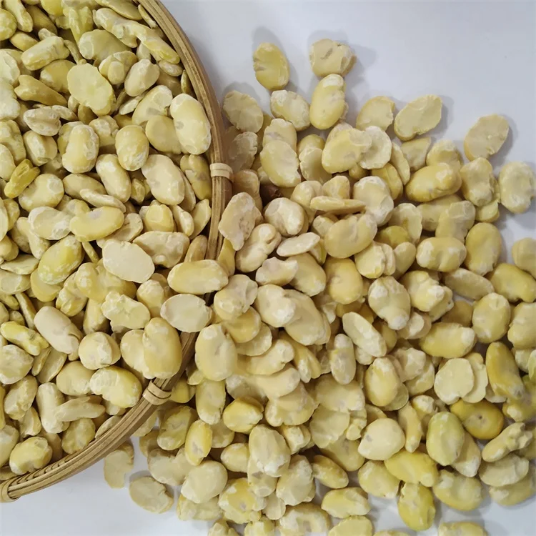 
Factory hot sell dried broad bean split peeled fava beans new crop 