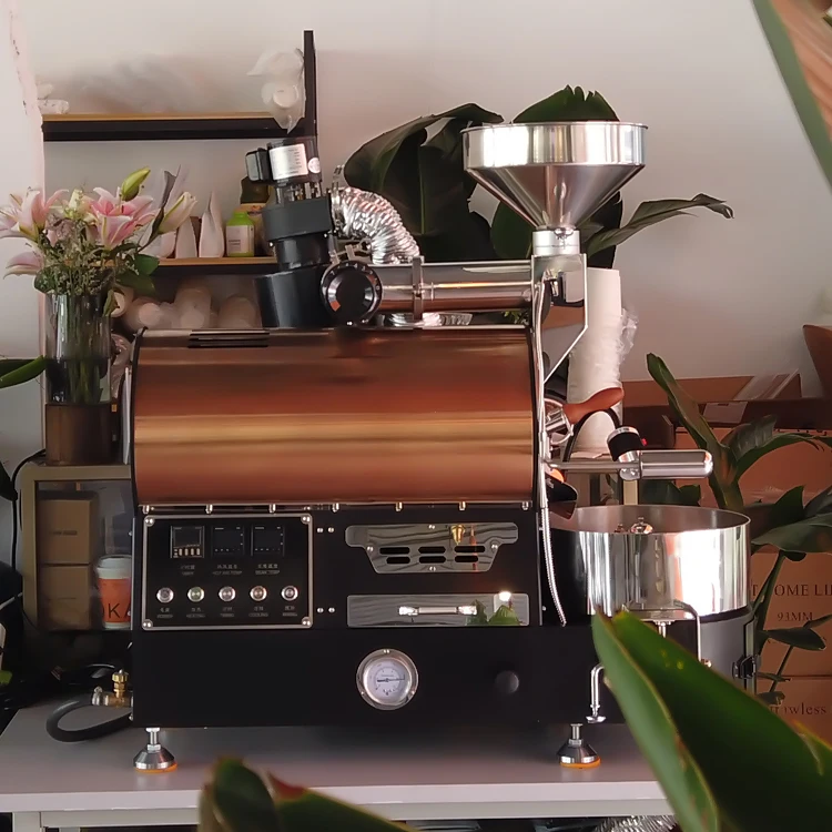 CE Certification DONGYI 20 years old shop Home/commercial  small 1kg 2kg coffee roaster machine LNG/LPG Gas or Electric heating