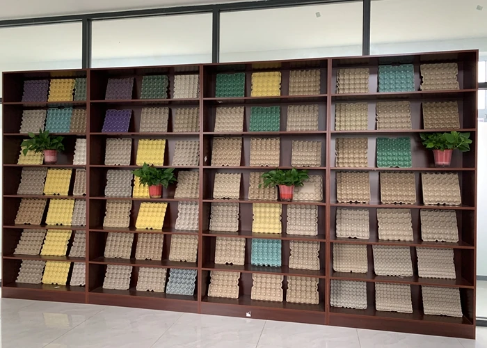 4000pcs/hr Automatic Paper Pulp Waste Paper Egg Tray Carton Box Dish Machine For Large Quantity Production Line