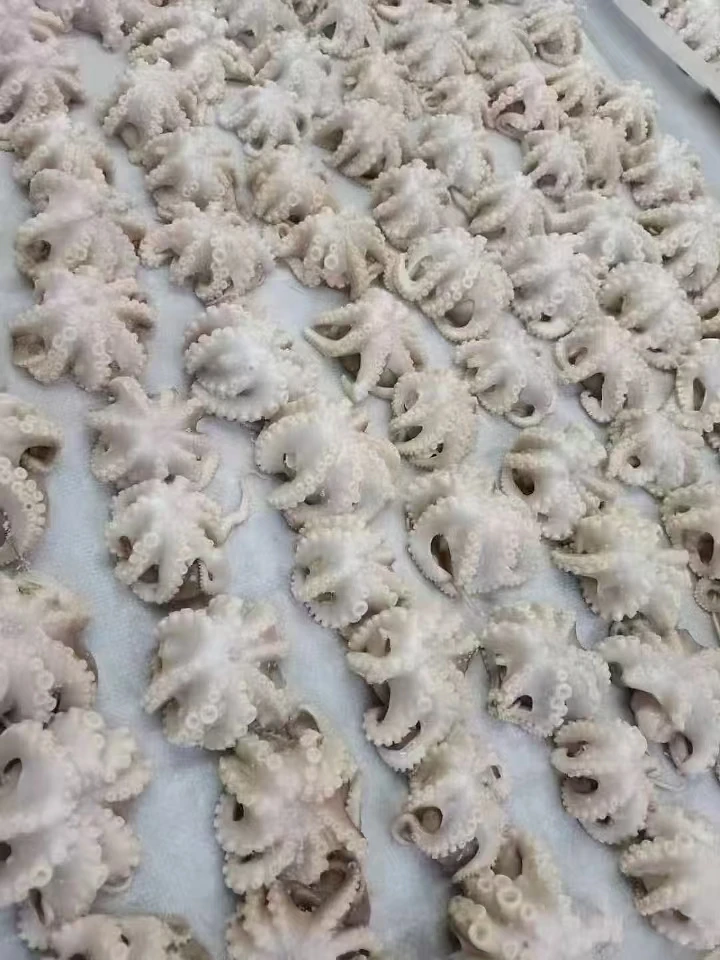 Origin china New Season Cleaned Baby Octopus