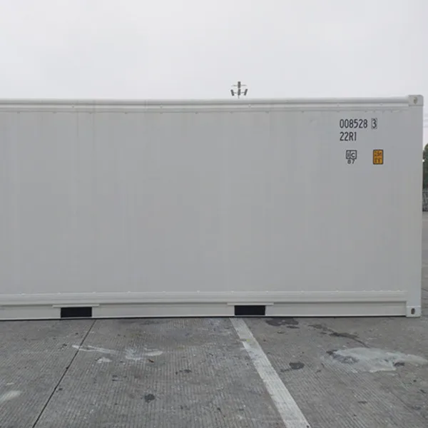 ISO Standard CSC Certified ThermoKing Refrigerated Container 20 Feet Length 20ft Reefer Container Price for Sale