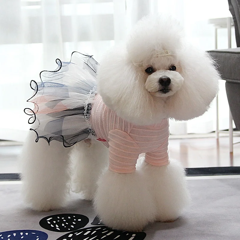 
Pet appare pet dog clothes Luxurious lace candy-colored pet dress for small female dogs fashion design cat dog dress 