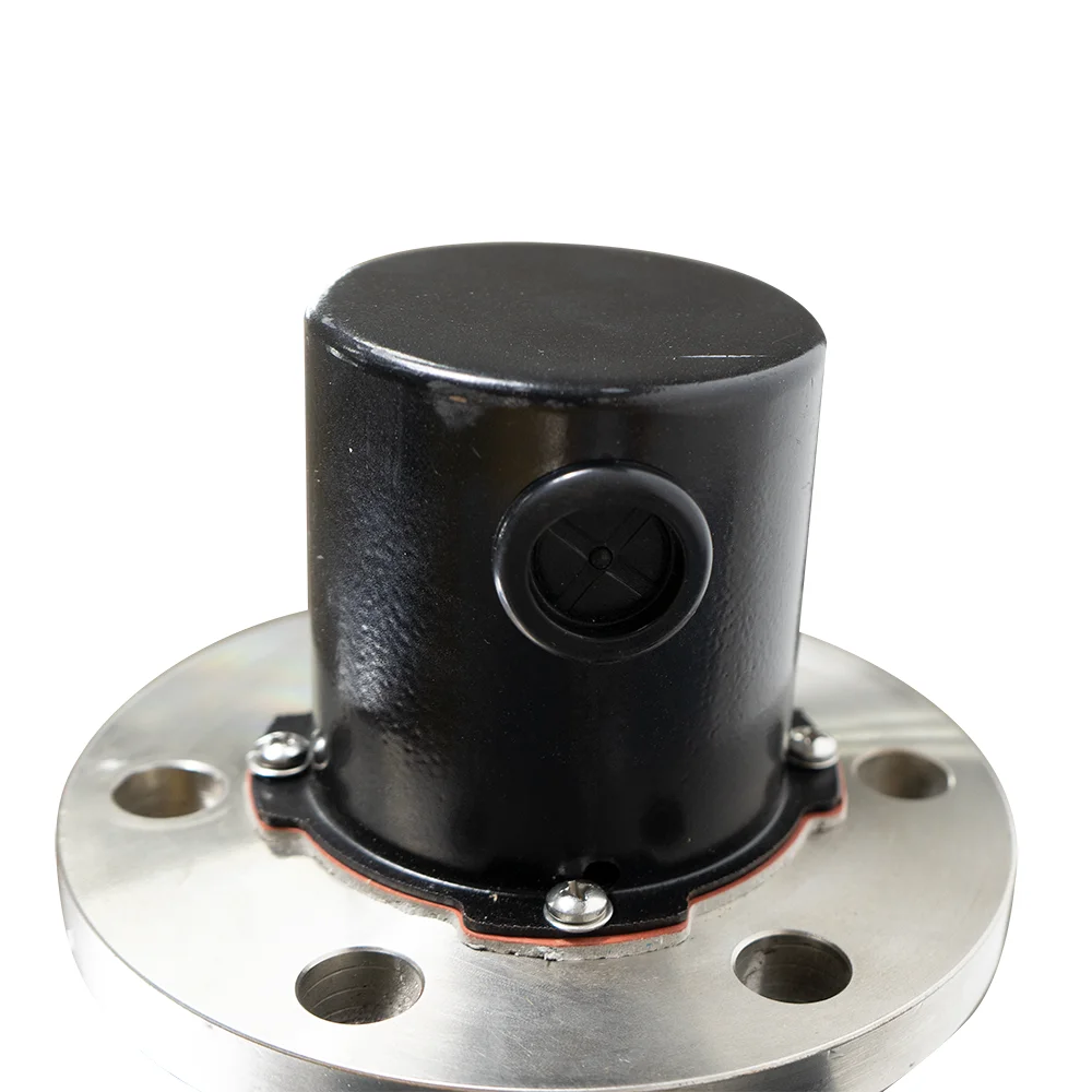 Stainless Steel 12KW or Customized Industrial Hot Water Tank Flange Heater