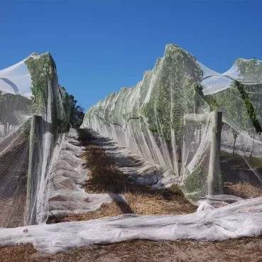 Agricultural Greenhouse Farm Protection Net, Anti Bee For Fruits, Trees