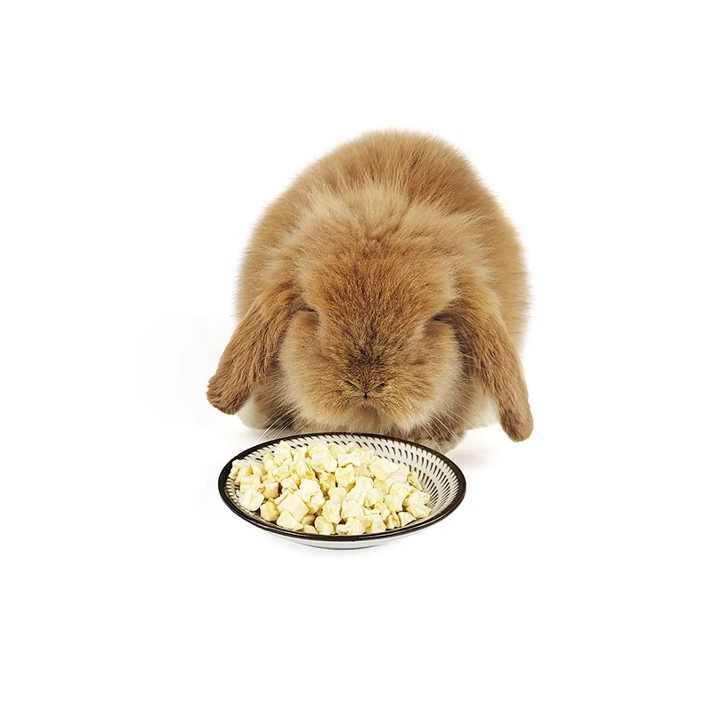 Замороженные лакомства для собак настоящие натуральные ингредиенты без глютена и зерна домашних животных кроликов