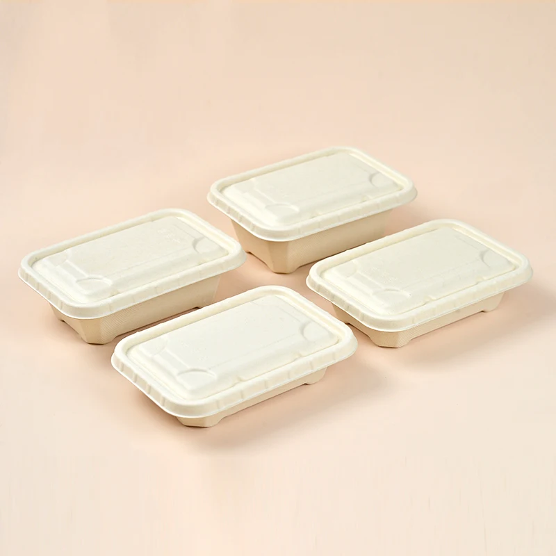 Free Samples Compostable Paper Pulp Lunch Box Disposable Bagasse Pulp Takeaway Food Container With Lid