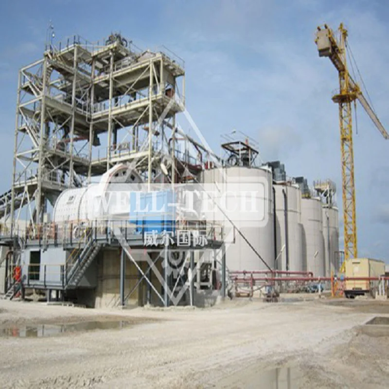 Small scale CIP  gold processing plant