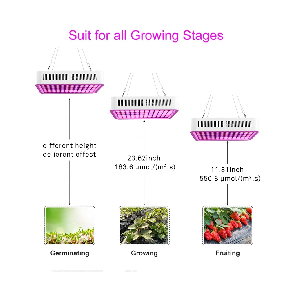 Cost-down Double LED Chips 300w Full Spectrum plus UV Growing Lettuce  LED Grow Lights