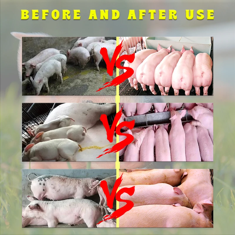 Pig growth promoter Pig fattening Pig intestinal health vitamin e multivitamins soluble powder