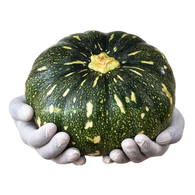 
Organic Fresh Pumpkin Size 6*6/10*10mm In Bulk Packaging From Vietnam 