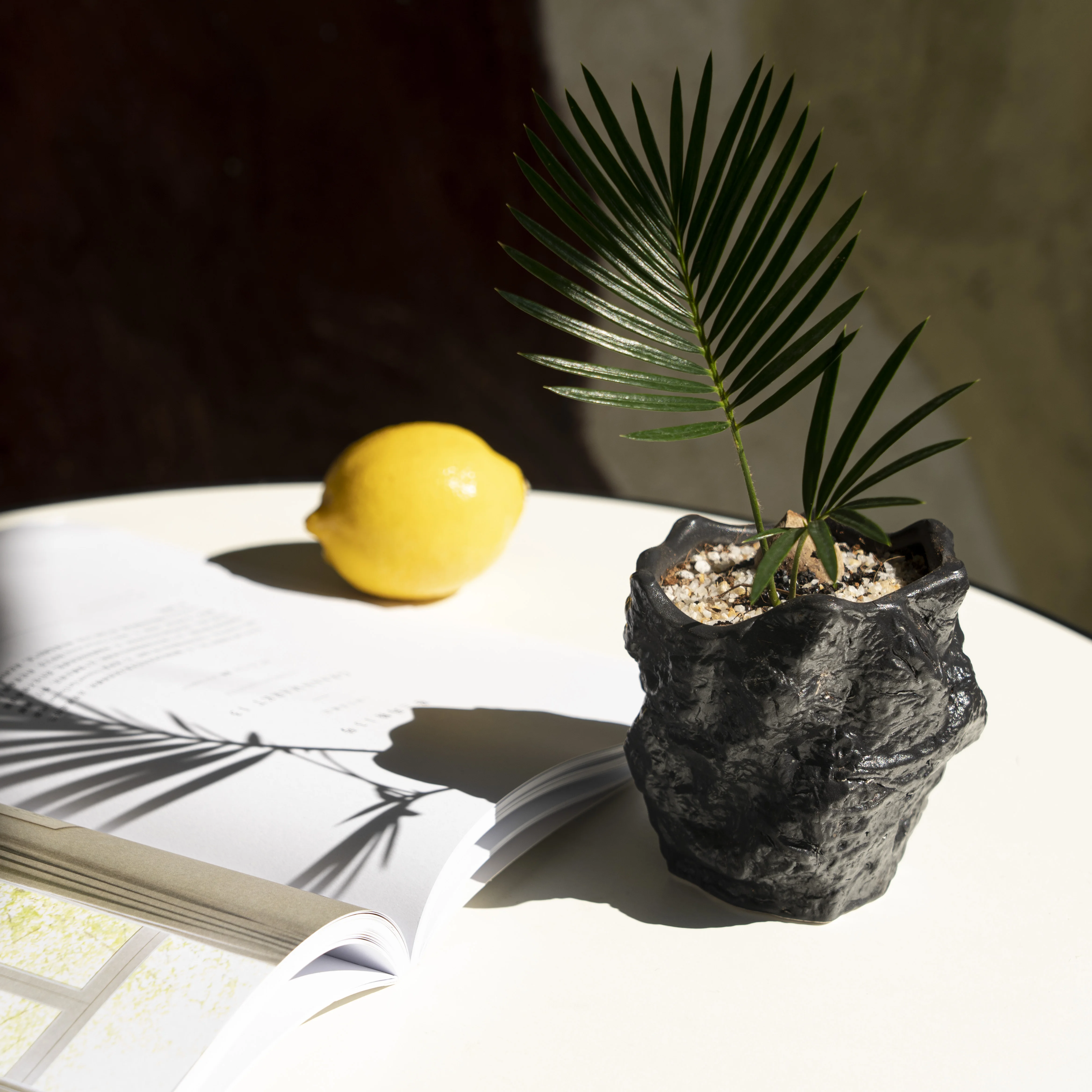 Wholesale indoor decor art design small cheap black matte macetero glazed ceramic succulent bonsai pot