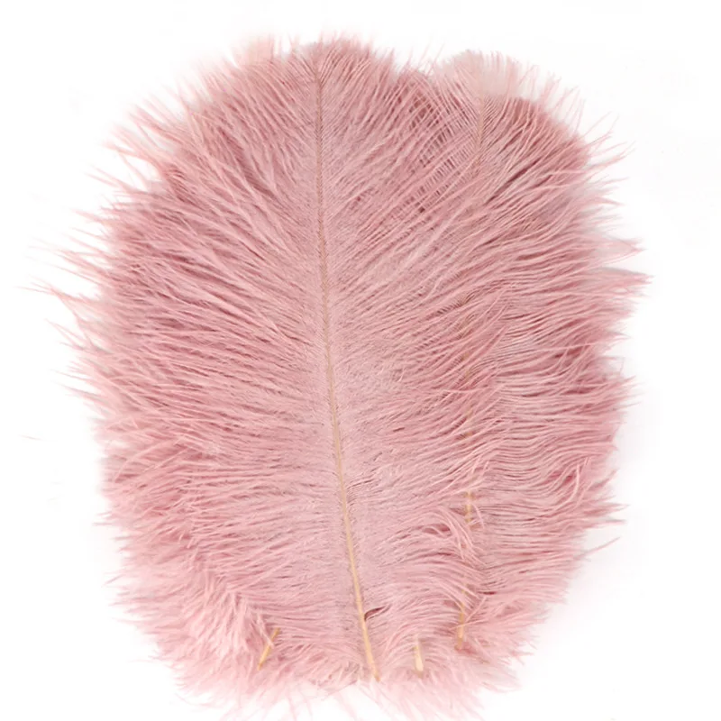 Best Plus Size Craft Decorative Pink Gold Feather for Crafts