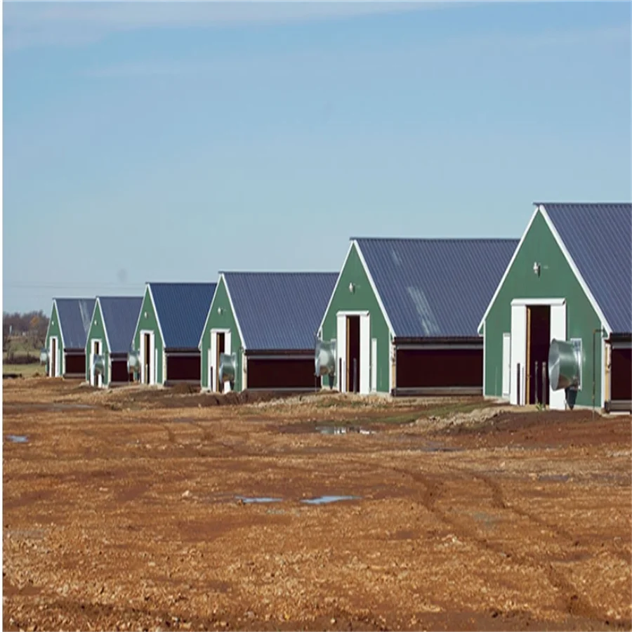 Oem Steel Structure Farm Broiler Poultry Shed Construction Design Chicken House