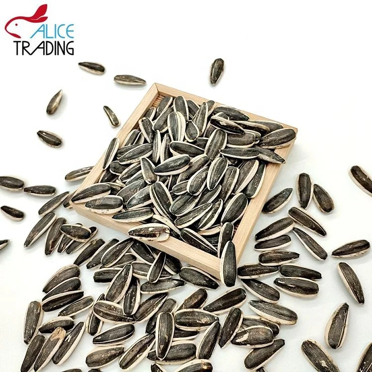 Chinese Inner Mongolia Factory Directly Supply Sunflower Seeds