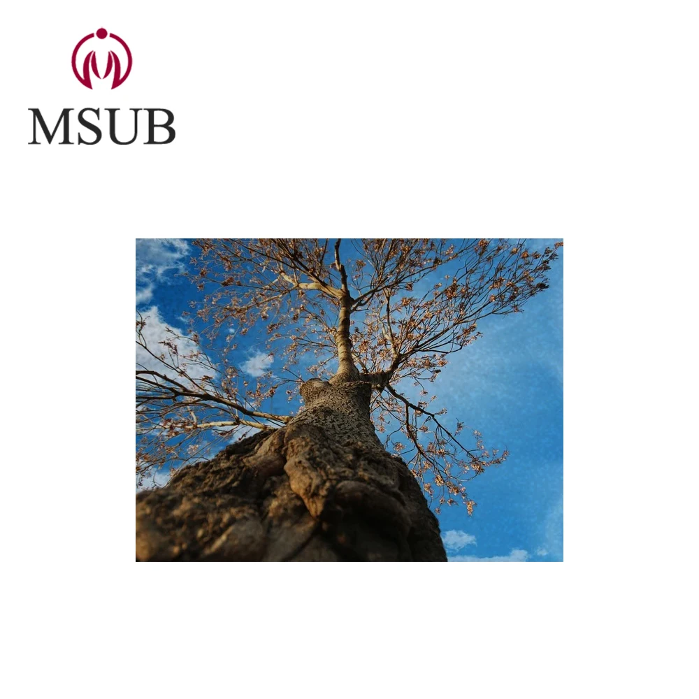 Mirror Finish Coated Sublimation Aluminum Sheets blank boards