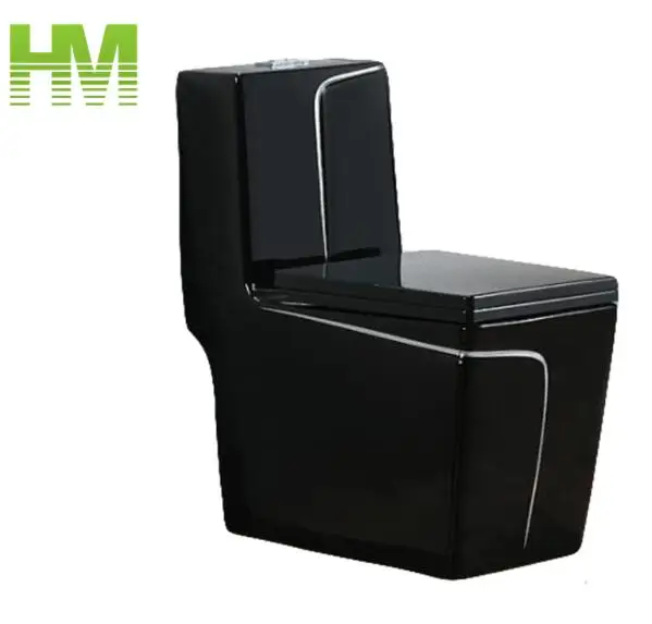 Ceramic One Piece Dual Flush Black Toilet With Silver Line Decoration