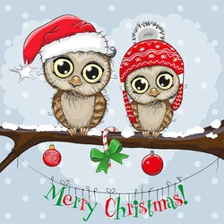 Red Riding Hood Owl Full Round Diamond Painting Kits Christmas Kids Kit For 5D Cartoon