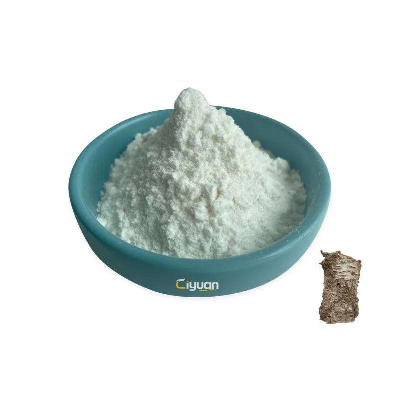 Ciyuan Factory supply Pure Natural Betulin Birch Bark powder free sample for cosmetics and food White Birch Bark Extract Powder
