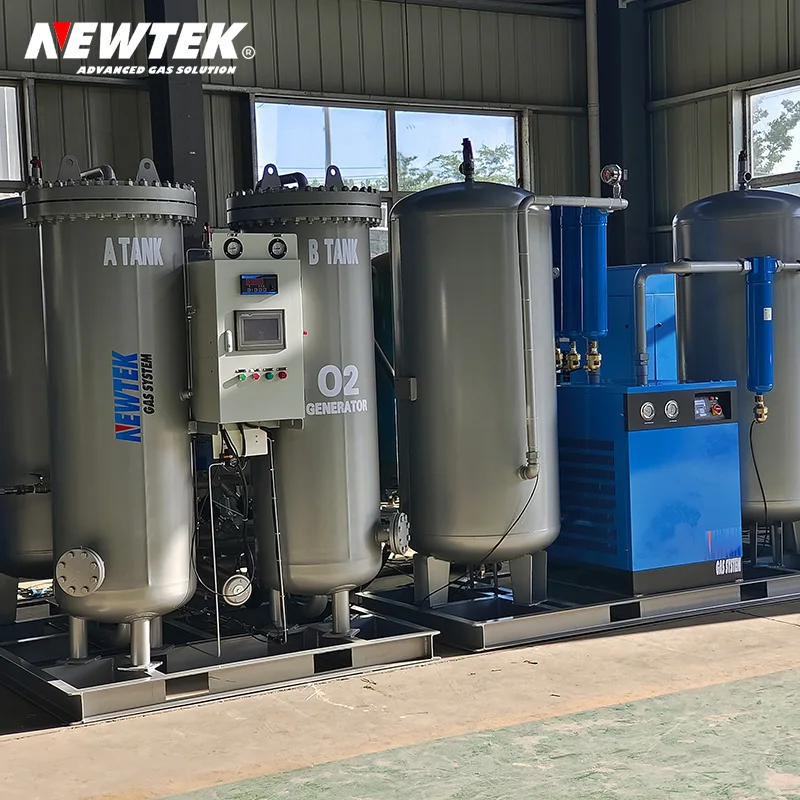 NEWTEK Oxygen Gas Plant Oxygen Generator Medical Oxygene Production Plant Provide On-site Installation Free Services