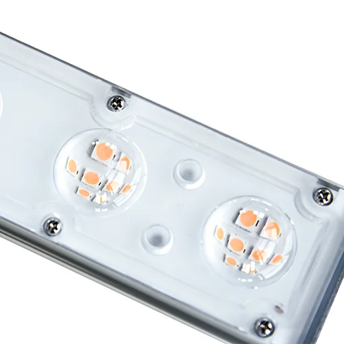 
Dimmable Full Spectrum Horticulture Growth for succulent plants light Greenhouse 