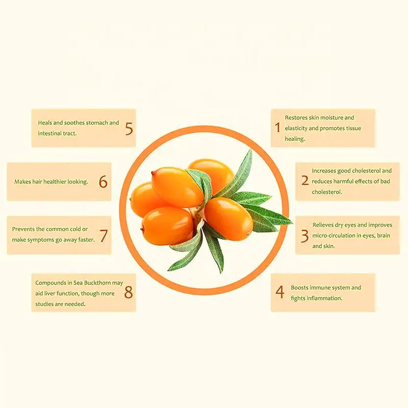 Healthcare Supplement Sea Buckthorn Oil Capsules 3 6 9 Vegan softgel