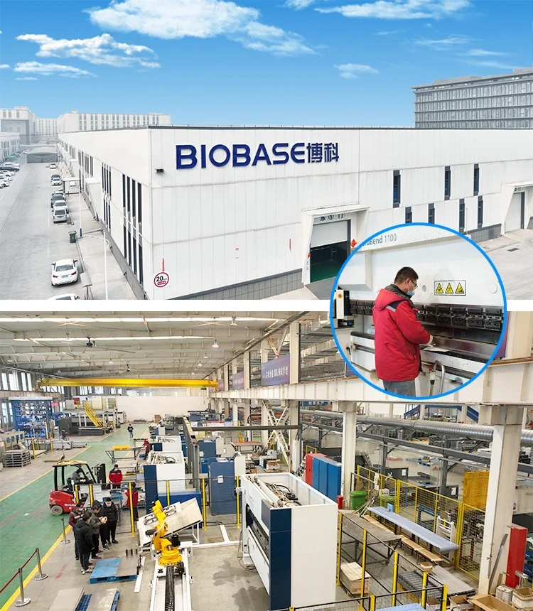 BIOBASE China Hot Sales Medical Industrial Chemical Storage LNC-2-30 Liquid Nitrogen Container 30l Gas Cylinder