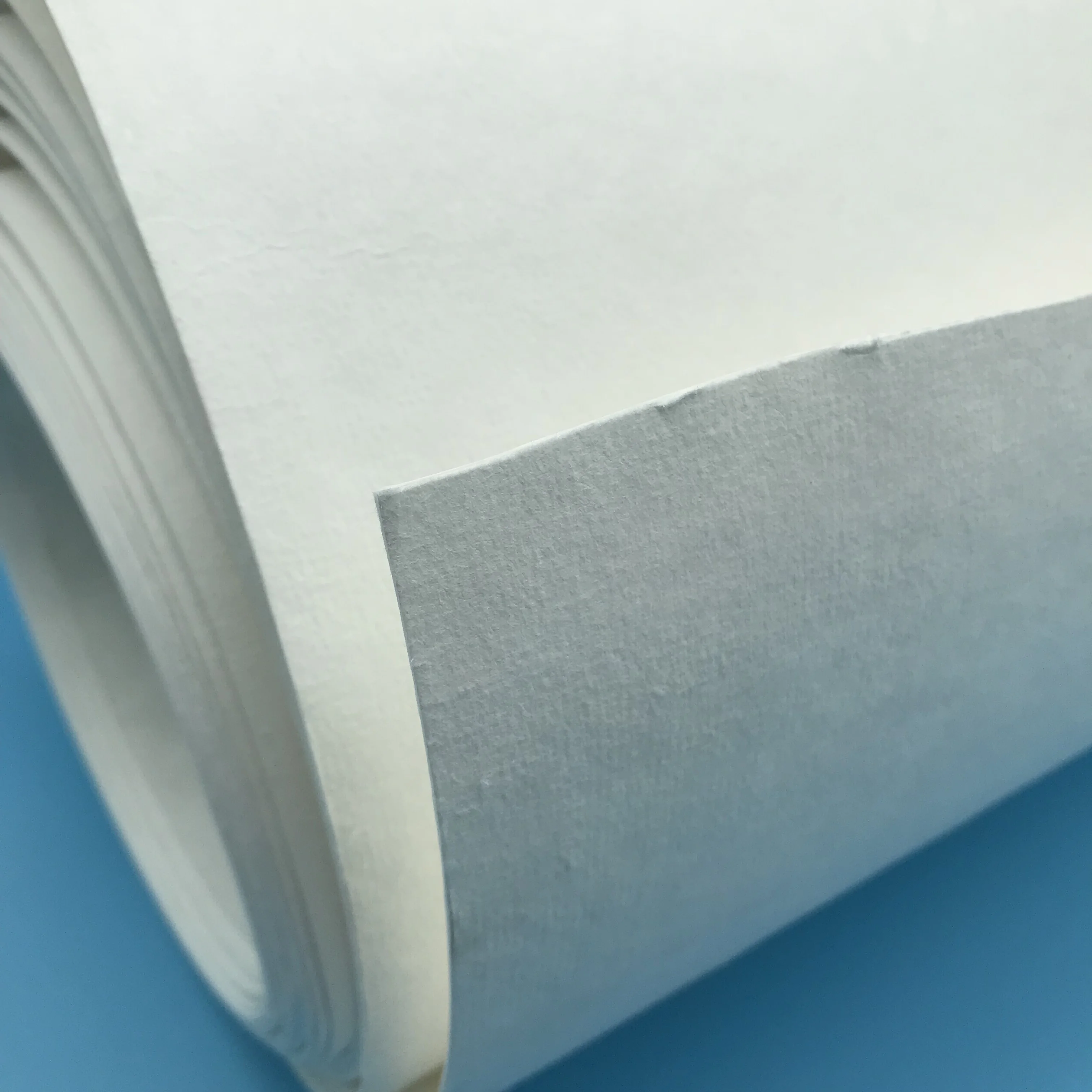 untreated wood pulp fluff  pulp for diaper and sanitary napkin manufacturing