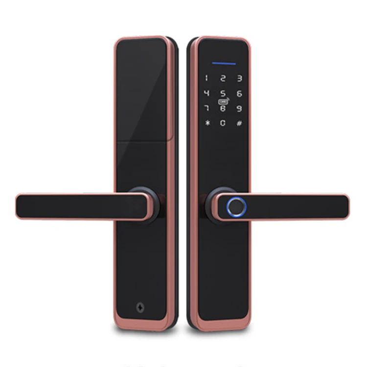 Tuya electric metal gate push pull smart simple central small rim lock door lock