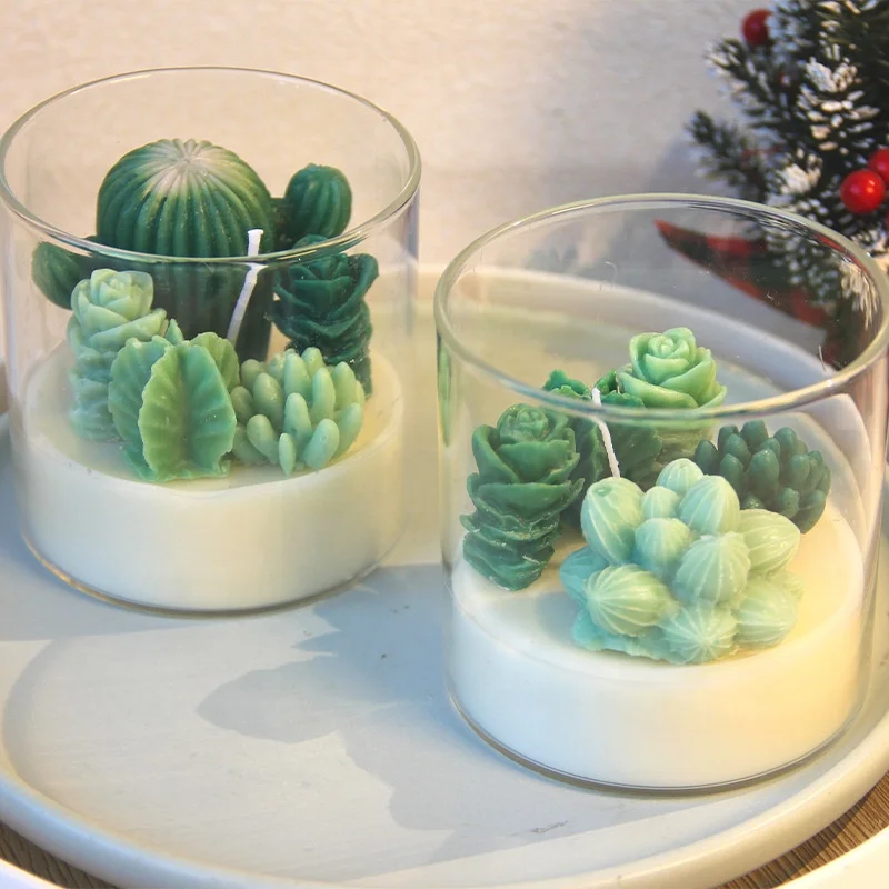 Succulents Cactus Aroma Soy Wax  Luxury Birthday Soy Wax Wedding Decoration Valentines Day Glass Jar Scented Candles