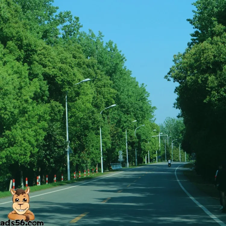 International logistics DHL FEDEX express shipping Air shipment door to door Freight forwarder China  to Australia pure battery