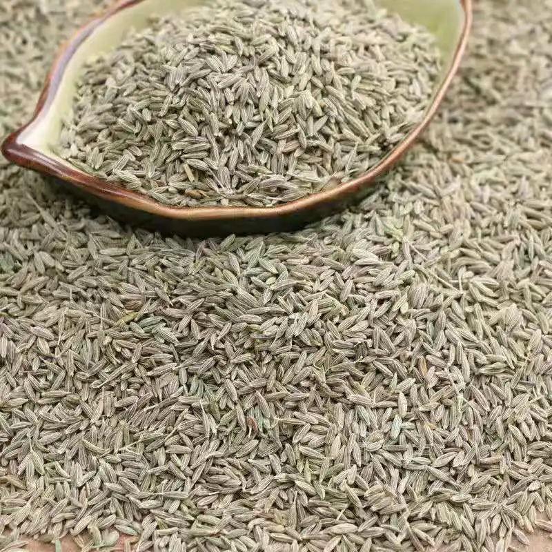 China Single spices&Herbs supplier wholesales high quality India cumin seeds food seasonings cumin spice top quality jeera seeds