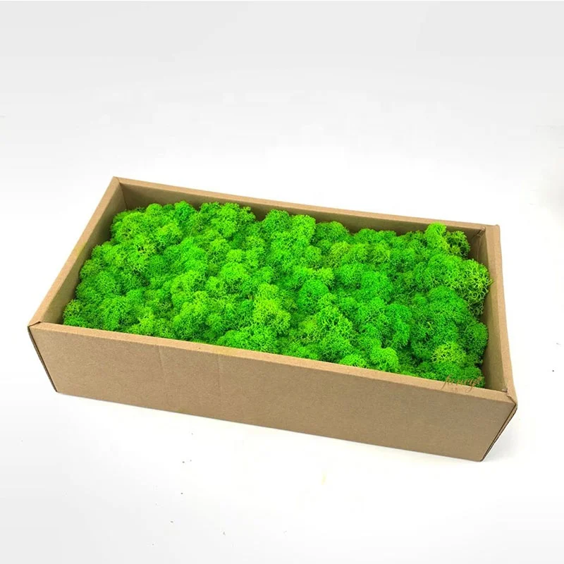 Wholesale Natural Real Green Preserved Reindeer Moss Wall Frame Decoration Stabilized Moss