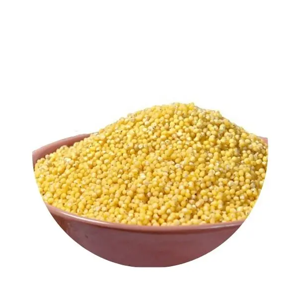 Wholesale Polished Millet Grain Yellow Millet