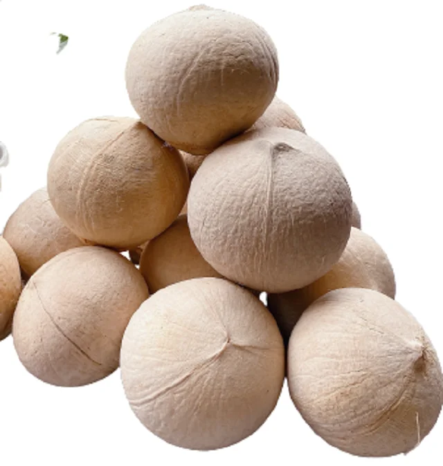 
GLOSSIED HUSKED COCONUT WITH CHEAP PRICE FROM EXPORTER VIETNAM FRESH YOUNG FULLY HUSKED COCONUT FROM VIETNAM 