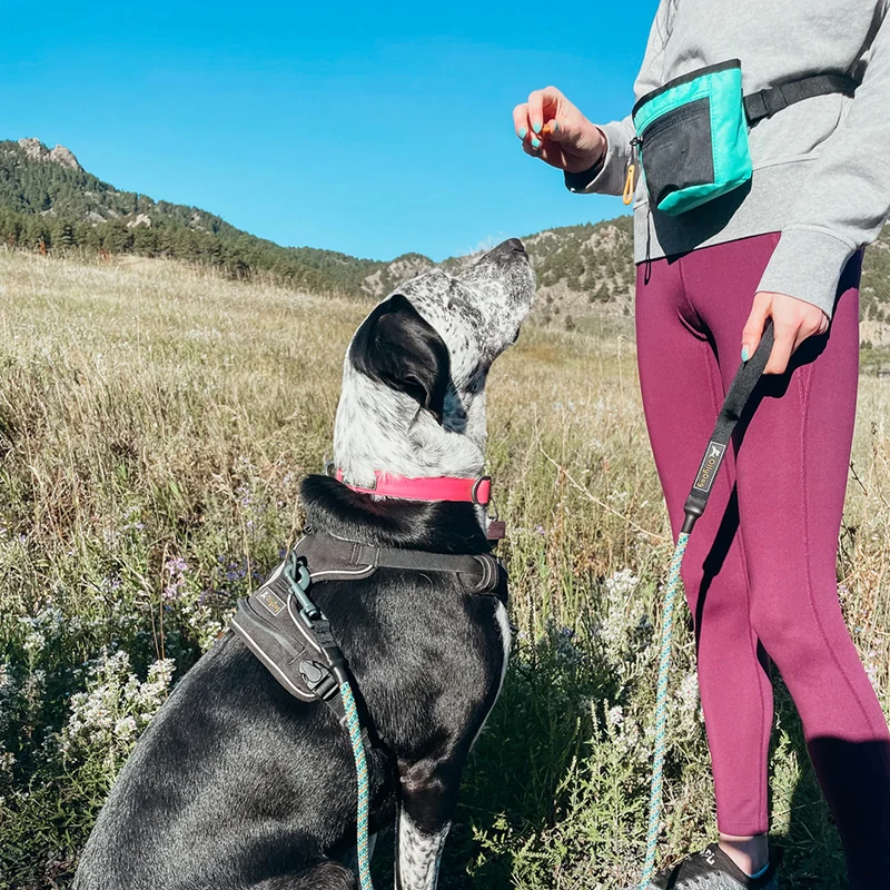 High Quality Dog Walking Bag Pet Dog Goodie Treat Bag Magnetic Clip Training Pouch