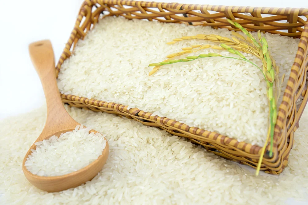 Asian Rice / Best Rice awarded / White jasmine rice from Vietnam (ST25) for wholesale with competitive price