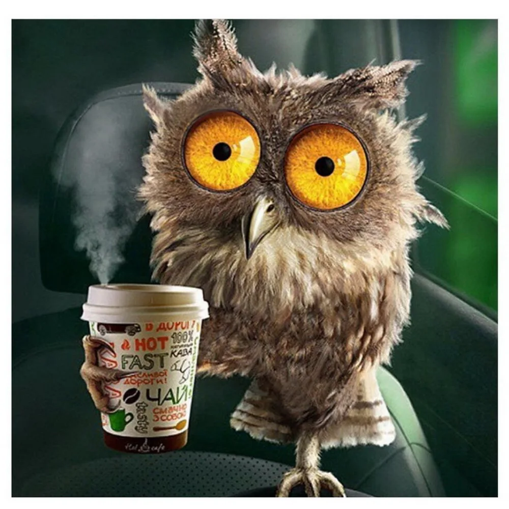 
New Hot DIY 5D Diamond Painting Kits Full Drill Wall Arts Owl Cup Pictures for Home Bedroom Decoration 
