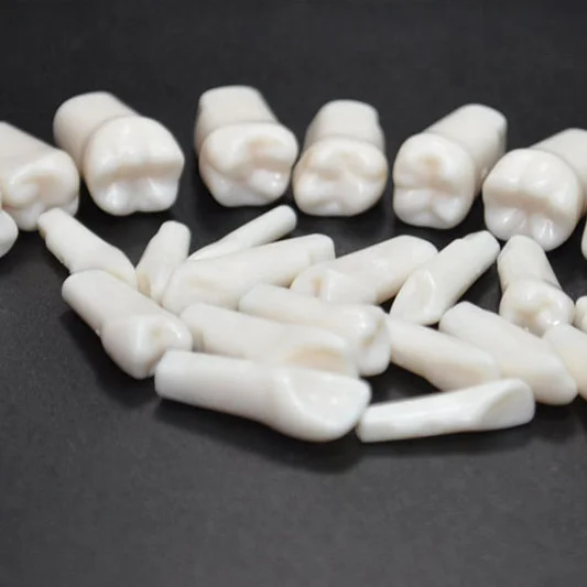 High quality practice teeth model 28 or 32 replacement tooth for practicing