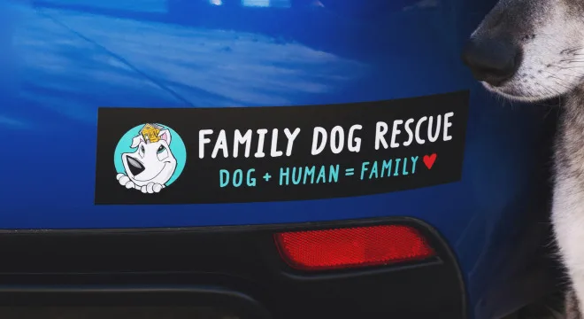 UV Coated Strong Adhesive Vinyl Car Bumper Sticker Custom Permanent Logo Sticker Transfer stickers Window Decals