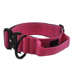 2023 Hot Selling 2 Inches Custom Colors Cobra Buckle Dog Training Neoprene Padded Nylon Dog Collars