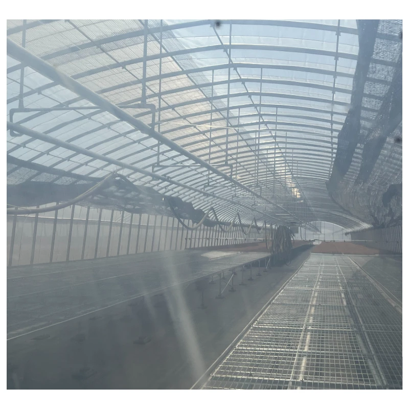 Affordable Greenhouses for All Seasons: Durable and Wind-Resistant