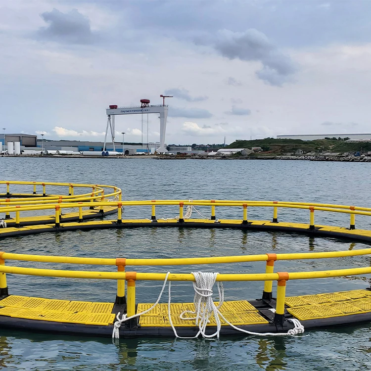  Плавающие рыбы для отлова морских обитателей клетка морской