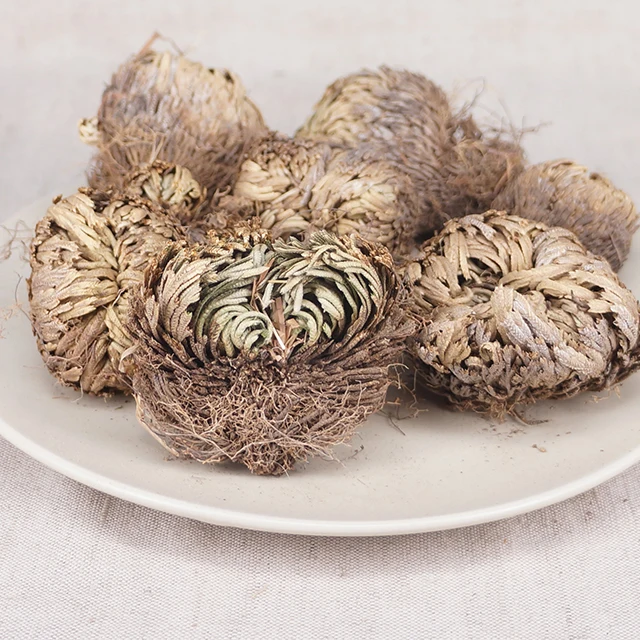  High Quality Dried Selaginella tamariscina Chinese herb