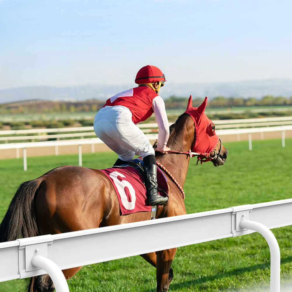 Fentech top quality used white plastic  horse running rail for sale