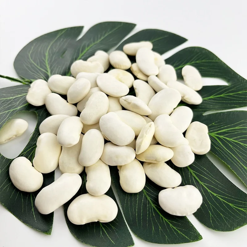 Hot Selling Factory price wholesale white kidney beans
