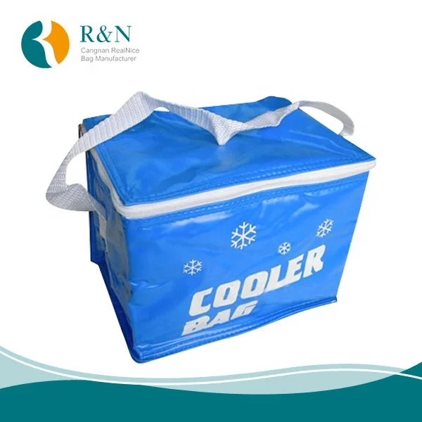 insulated freezer reusable cooler bag,IcePack Lunch Box made of non woven material,cooler bottle bag